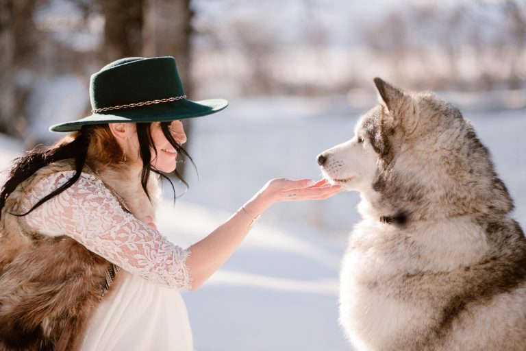 Mariée touchant un husky en plein milieu de la neige