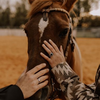 Mariage avec cheval - Lyon Clermont-Ferrand